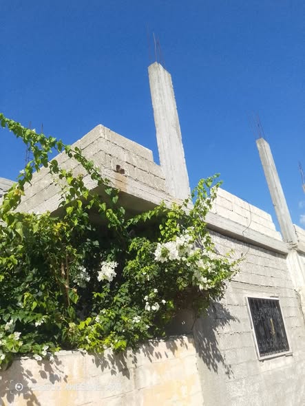 House for Sale in Latakia · 500 m² — photo 2