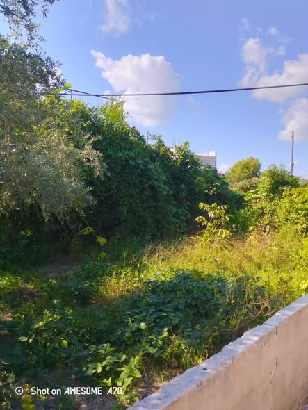 House for Sale in Latakia · 500 m² — photo 4