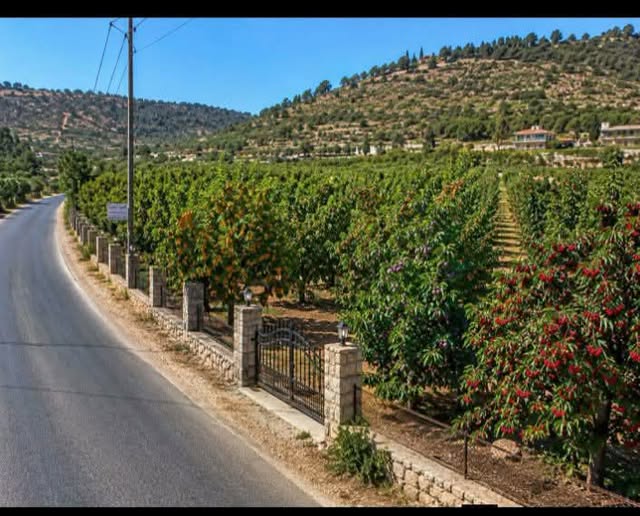 2-Bedroom Chalet for Rent in Al-Takiyeh, Rural Damascus · 100 m²