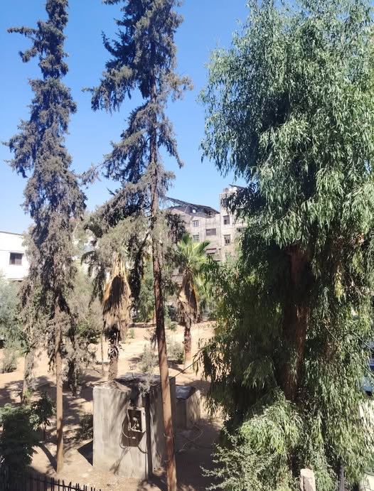 2-Bedroom Apartment for Sale in Damascus · 80 m²