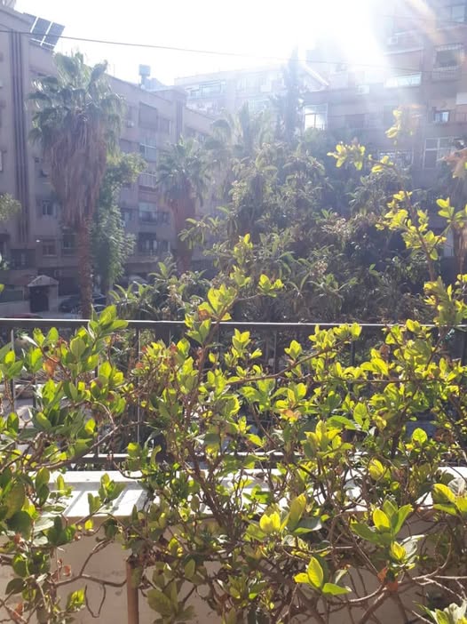 منزل للبيع في ركن الدين – 120 م² – 3 غرف وصالون