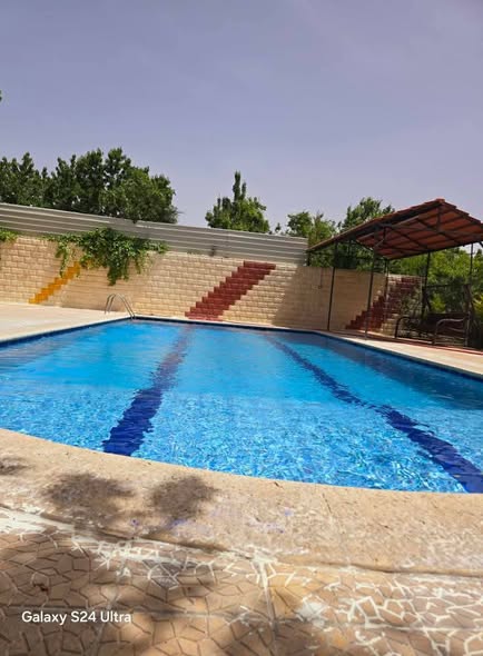 مزرعة بقمه للإيجار اليومي في التكية