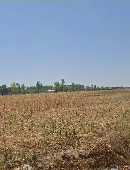 Land for Sale in Rural Damascus · 15,000 m²