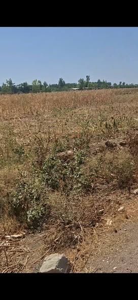 Land for Sale in Rural Damascus · 15,000 m² — photo 2