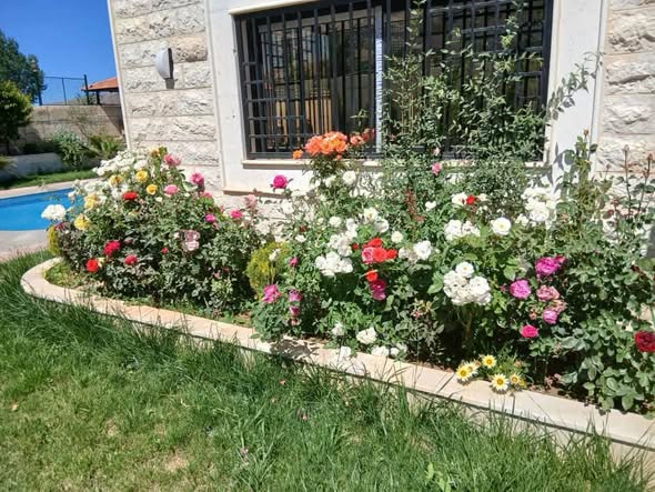 Villa for Sale in Madaya, Rural Damascus · 800 m² — photo 5
