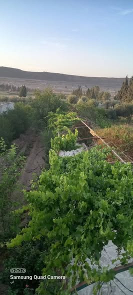 Farm for Sale in Al-Harjalah, Rural Damascus · 3,000 m²