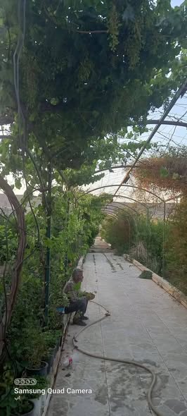Farm for Sale in Al-Harjalah, Rural Damascus · 3,000 m² — photo 3