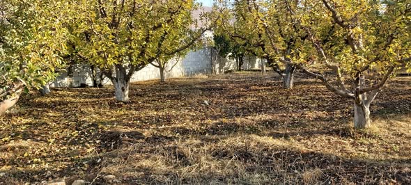 Land for Sale in Madaya, Rural Damascus — photo 3