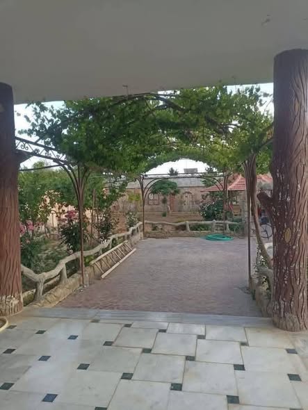Farm for Rent in Rural Damascus — photo 4