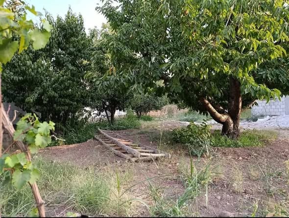 Land for Sale in Zabadani, Rural Damascus · 500 m² — photo 3