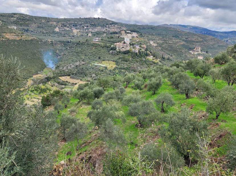 Land for Sale in Tartus · 11,500 m² — photo 7