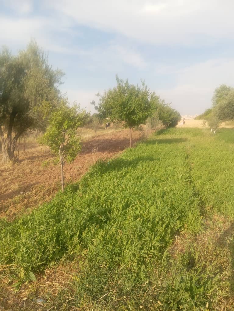Farm for Sale in Damascus · 5 m²
